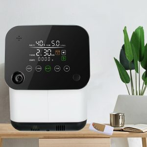 10L Oxygen Concentrator Portable