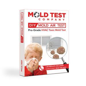 Mold Air Test HVAC Toxic Mold