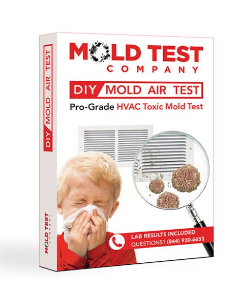 Mold Air Test HVAC Toxic Mold