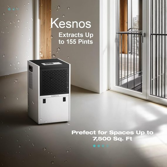 Kesnos PD606A Dehumidifier