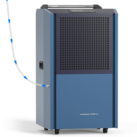 VP250
