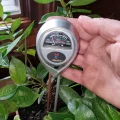 Combo-in-green-plant-1800