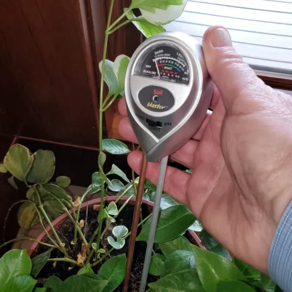 Combo-in-green-plant-2-1800