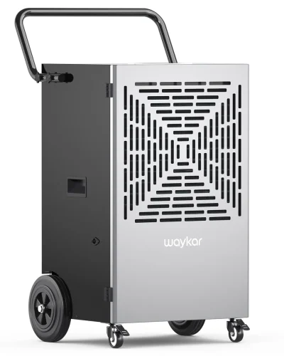 1_fa8ca58b-423f-4d7d-9b4b-369467853fc1