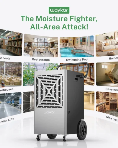 9_b42da78b-d102-43d8-afec-5b1542b012a9